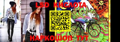 стаф Обь