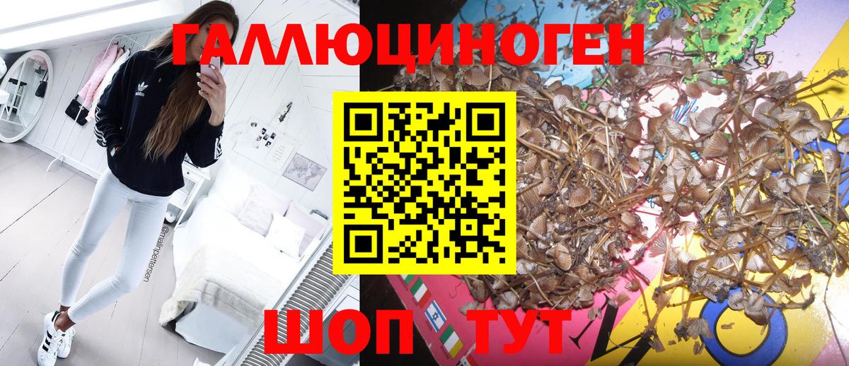 Псилоцибиновые грибы мухоморы  Вход с VPN  Спасск-Дальний 