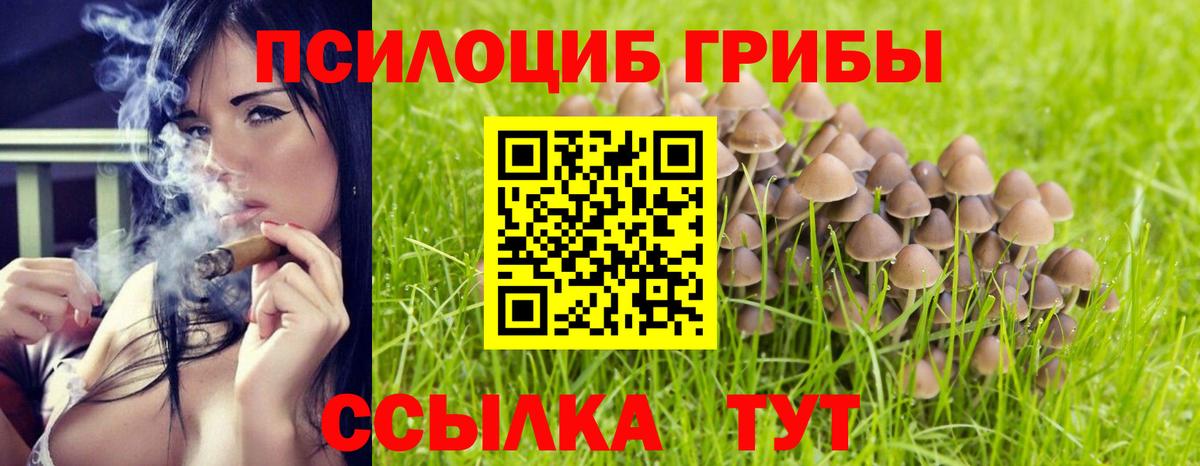 Галлюциногенные грибы ЛСД Спасск-Дальний